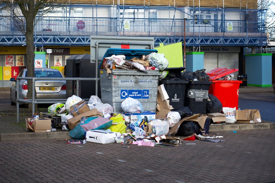 Rubbish removal in SE10 Greenwich trusted local teams